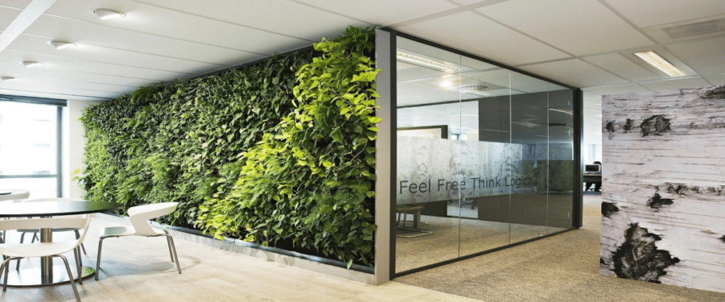 How to Incorporate Biophilic Design in Your Office | Optrys